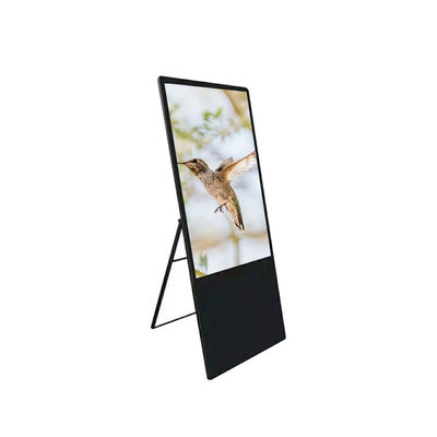Multitouch Floor Standing Digital Signage Advertising Display 240V