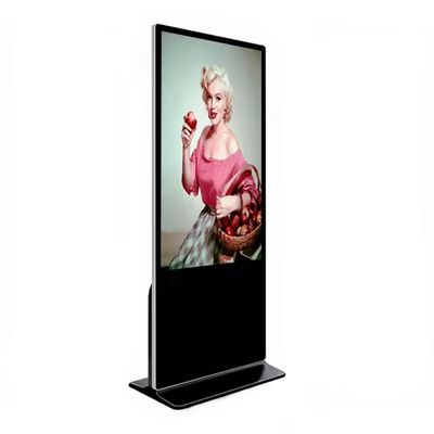 Split Screen Standalone Signage Freestanding Digital Display OEM