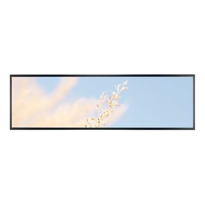 Commercial Ultra Wide Stretched 2560x1600 Display Screen